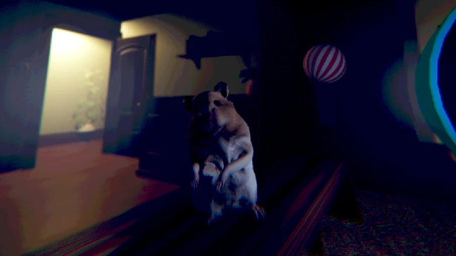 Hamster in a dark corner of the room
